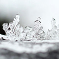 Crystal Towers